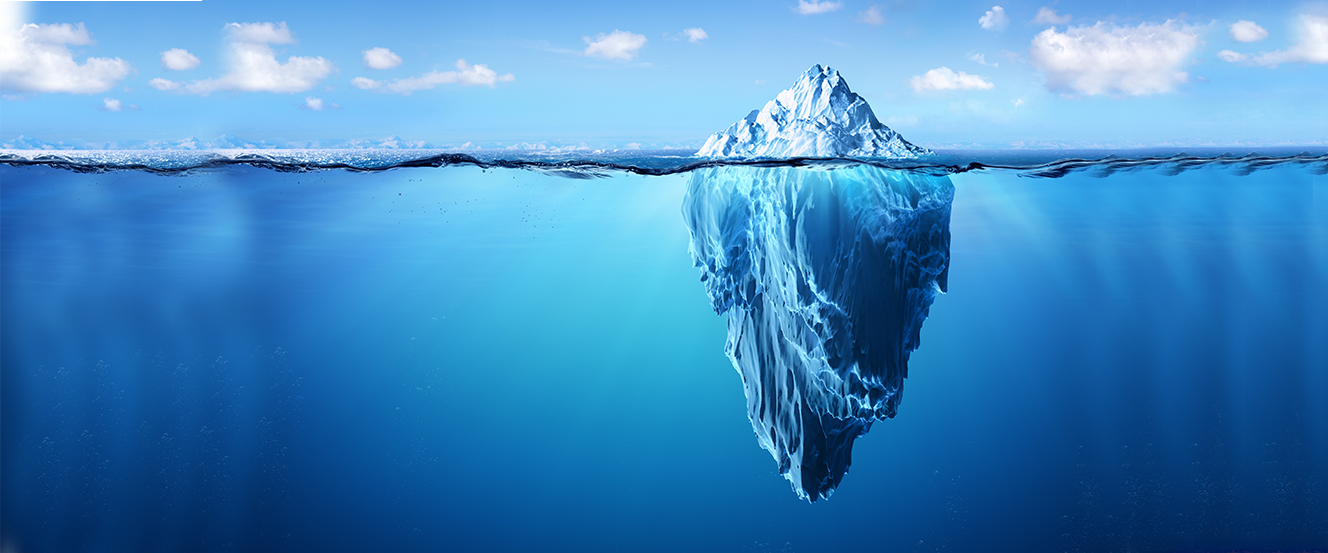 Global and Emerging Risks