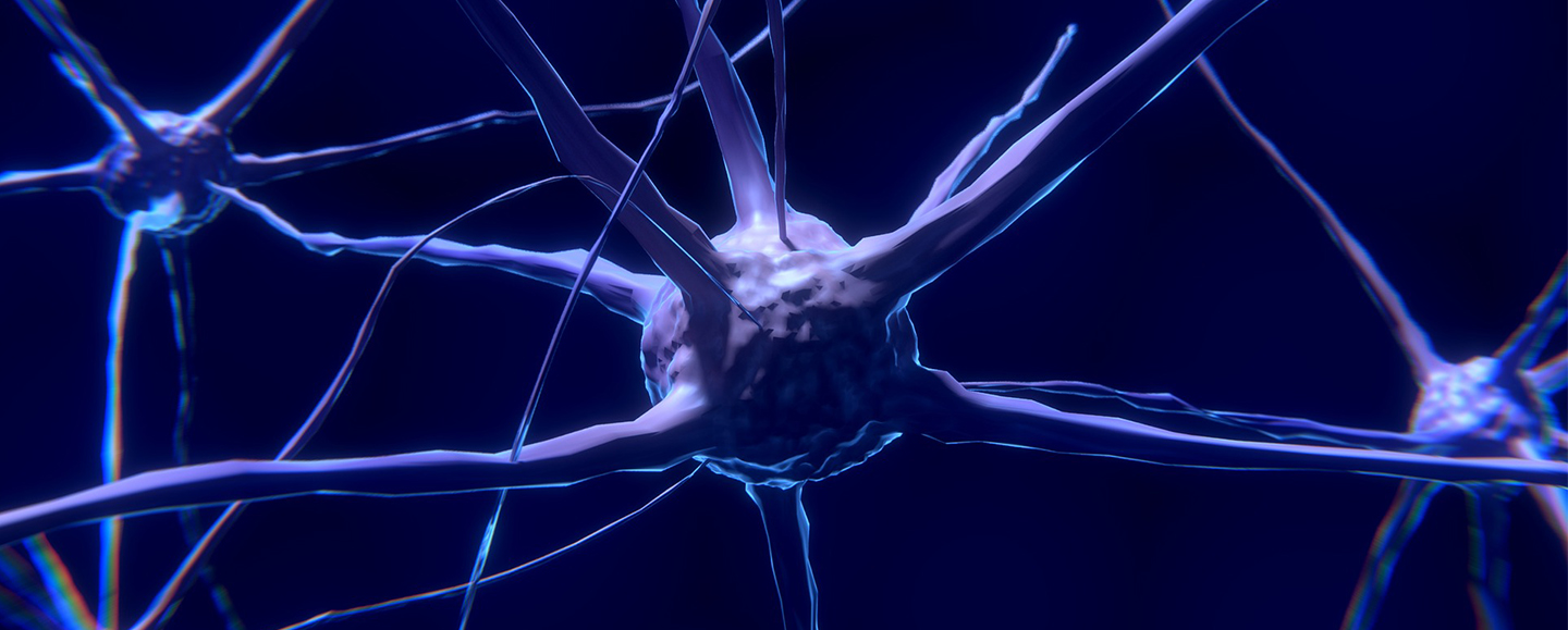 Neurophilosophy