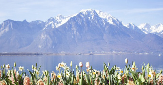 Sixth Zermatt Roundtable on Current Security Issues in the North Pacific Region