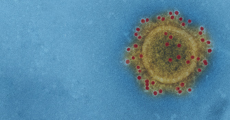 Crisis response and other stories