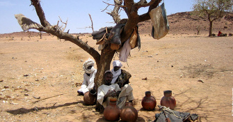 Online Edition - Land, Security and Climate Summer Academy 2020