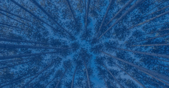 Webinar: Are We Finally Ready?