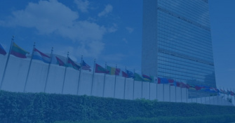 Webinar: The New Normal? Imagining Peace Operations 2030