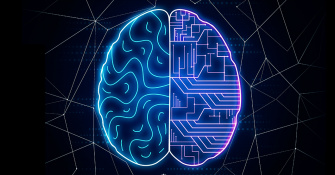 In focus: The challenges of neurotechnology