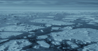 Arctic Science Diplomacy: With or Without Russia?