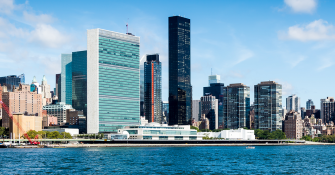 Ideas Notes 2030: Strategic Reflections on the Future of UN Policing
