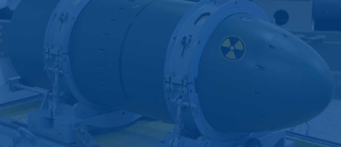 Nuclear weapons and the future of humanity