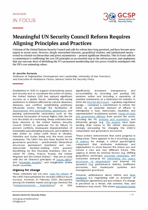 Meaningful UN Security Council Reform Requires Aligning Principles and Practices