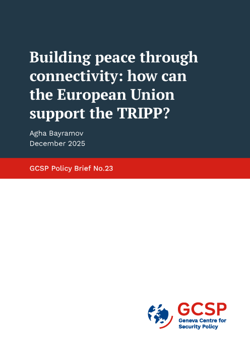 Building peace through connectivity: how can the European Union support the TRIPP?